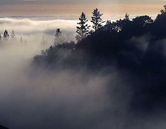 Oregon coastal mountains.