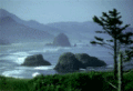 ecola