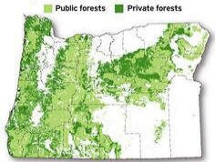 forests
