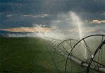 irrigation