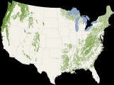 oregon_forests