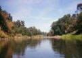 willametteriver